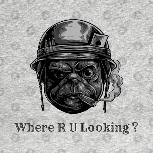 Where are you looking by Octagon